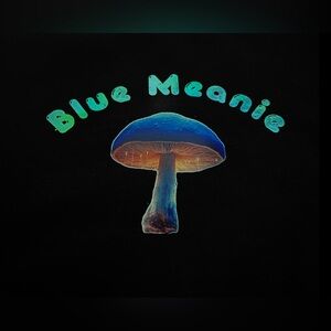 Organic Cotton Women’s S Top “Blue Meanie” Magic Mushroom NWT